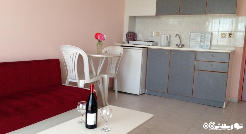 نمای آشپزخانه آپارتمان تک خوابه	